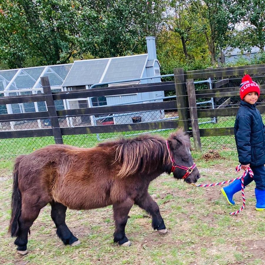Farm Stay Maple Cottage At Wilindi Estate Tyabb Extérieur photo